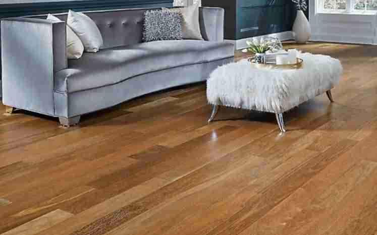 Brazilian Chestnut in Decor