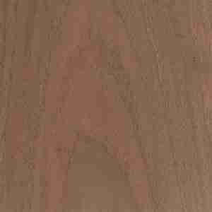 Black Walnut Wood