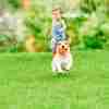 pet friendly artificial turf