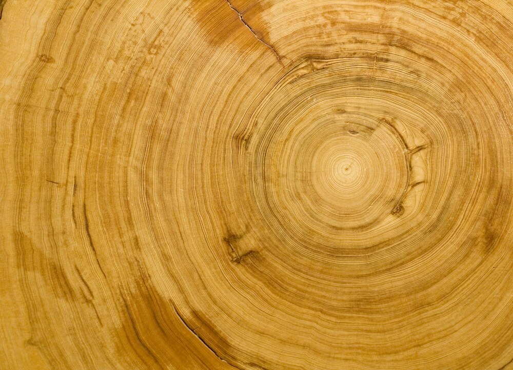 Cypress Wood 