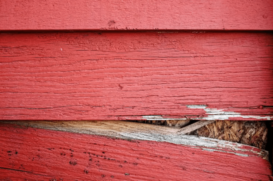 Wood Rot