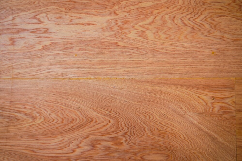 Cypress Wood Close Up