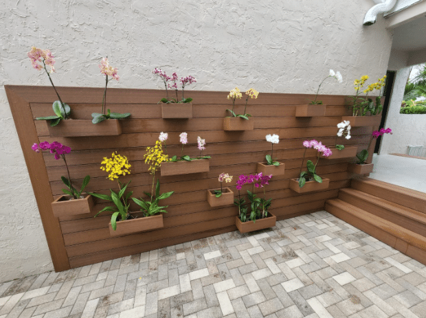 Choosing the Right Lumber for Your Vertical Garden