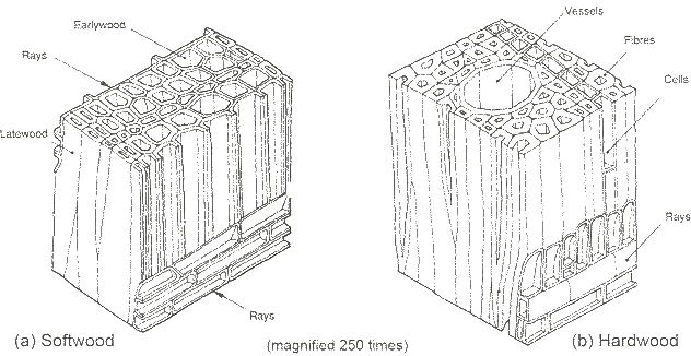 Hardwoods have a harder density than softwoods