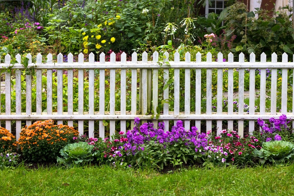 Wood Picket Fence on Garden